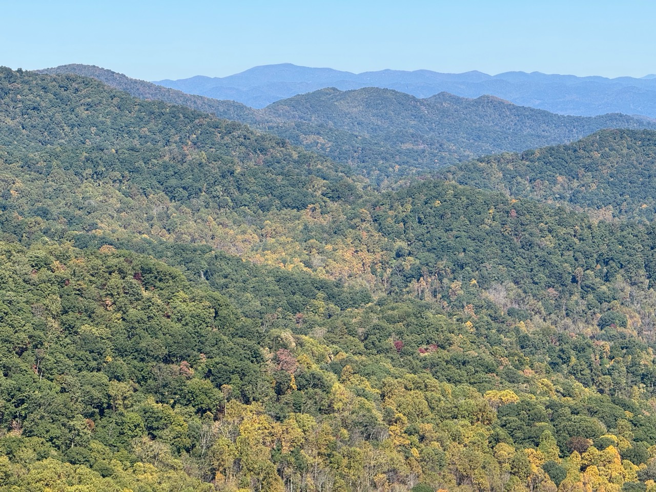 Forested mountain ridges with patches of yellow and orange leaves beneath a clear blue sky
